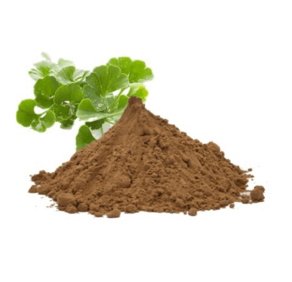 Ginkgo biloba extract